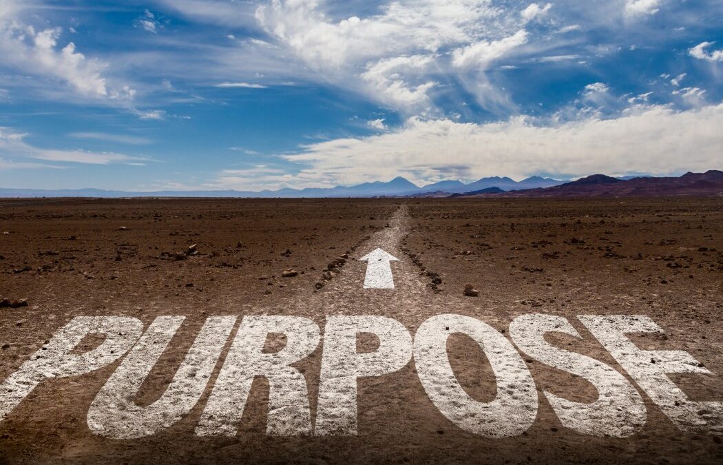 Unleash Your Entrepreneurial Purpose: Nurture and Put it Into Action (Part 2)