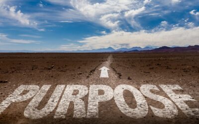 Unleash Your Entrepreneurial Purpose: Nurture and Put it Into Action (Part 2)