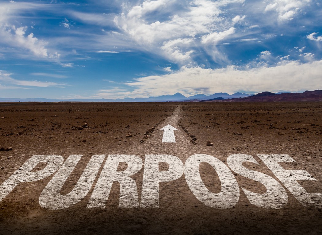 Unleash Your Entrepreneurial Purpose: Nurture and Put it Into Action (Part 2)